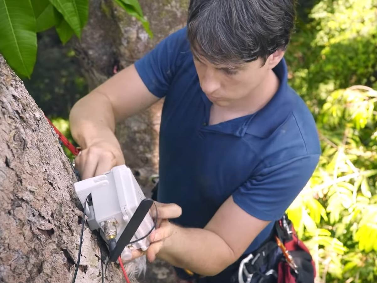 Huawei telefoni kišne šume zaštita od seče šuma 8.jpg - SmartLife / Huawei   Huawei telefoni kišne šume zaštita od seče šuma 8.jpg - SmartLife / Huawei