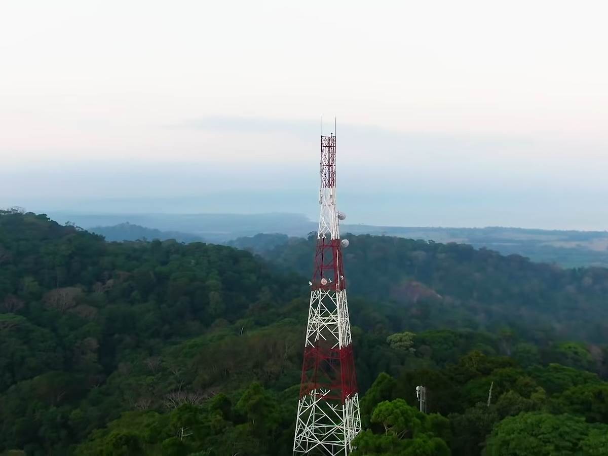 Huawei telefoni kišne šume zaštita od seče šuma 3.jpg   Huawei telefoni kišne šume zaštita od seče šuma 3.jpg