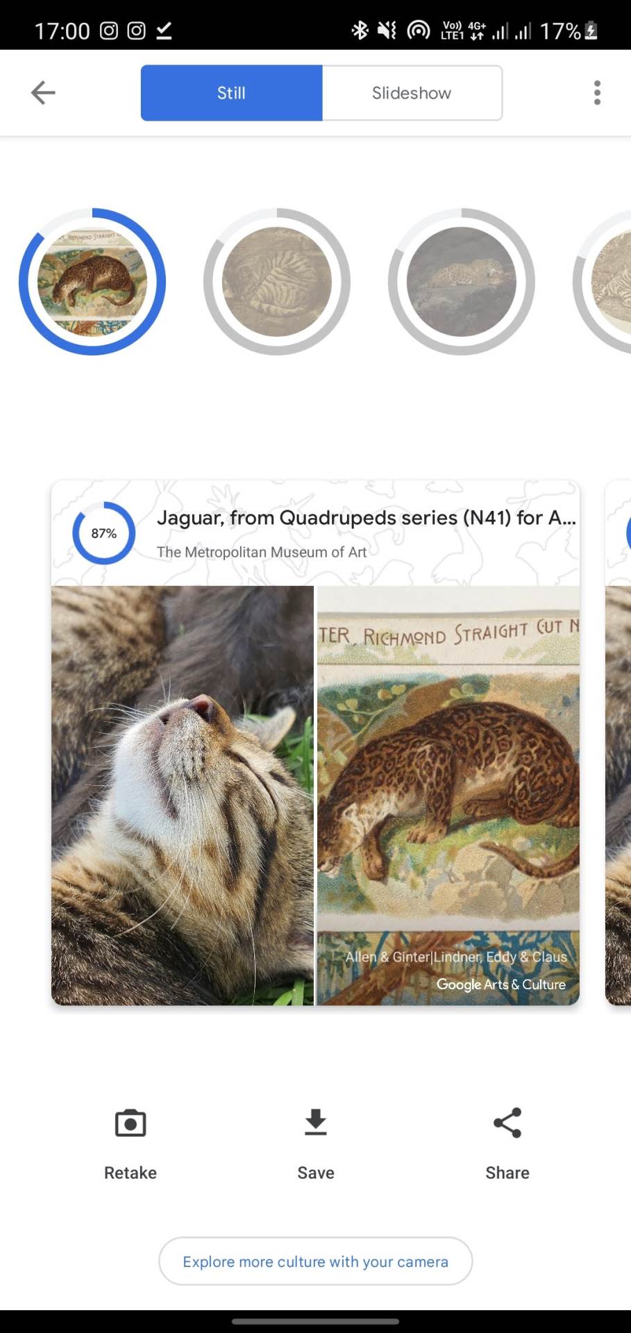  Mačka - SmartLife / Marko Nešović 