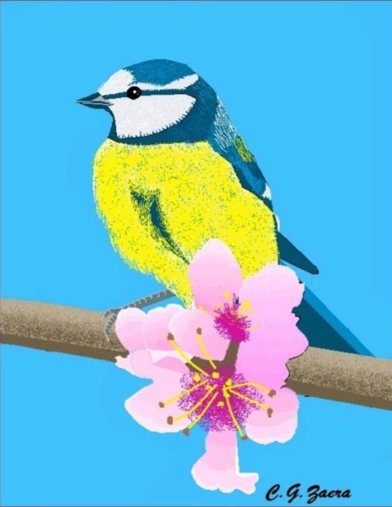  pticica.jpg - SmartLife / Instagram / @conchagzaera 