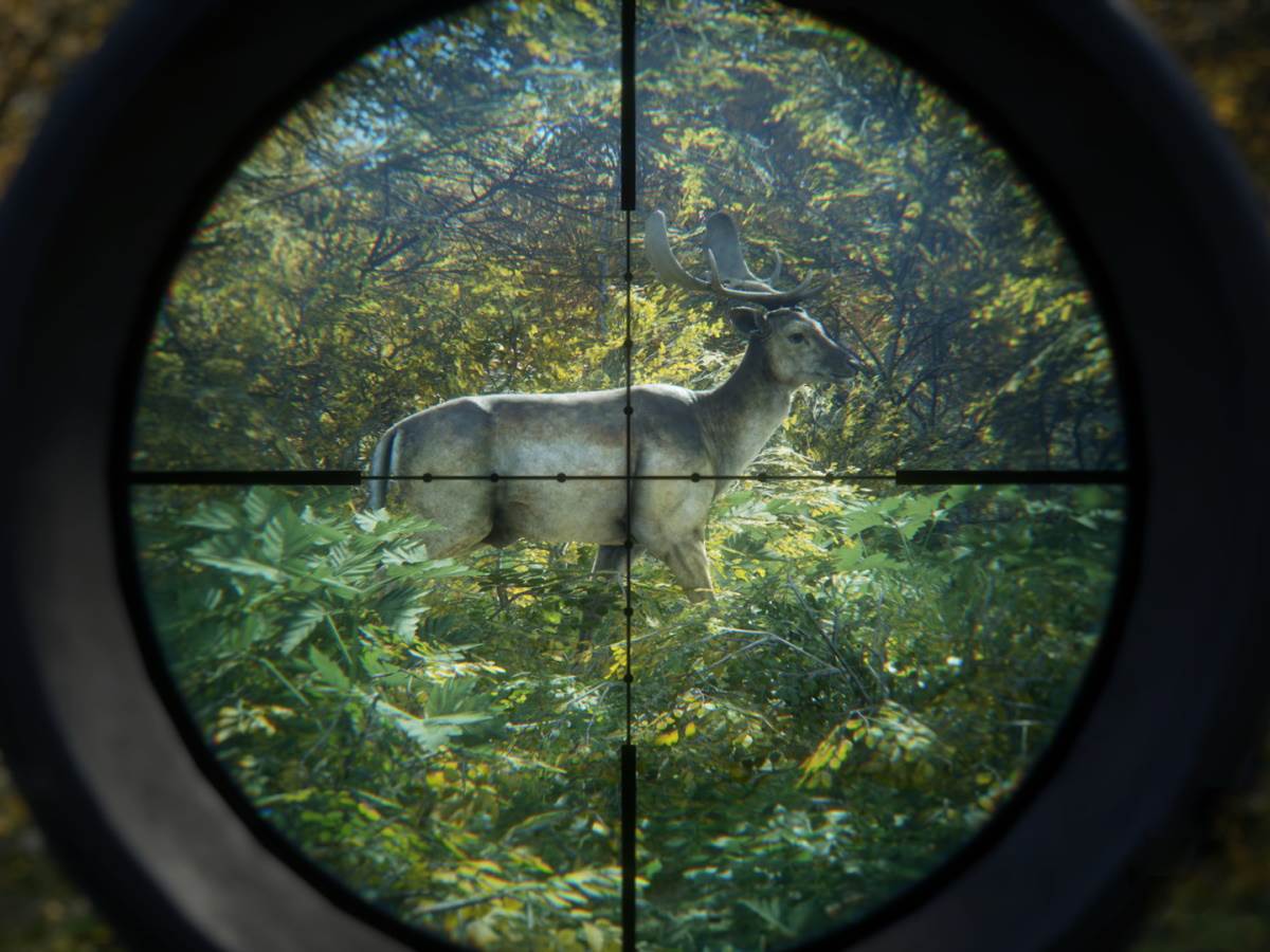 theHunter: Call of the Wild   theHunter: Call of the Wild