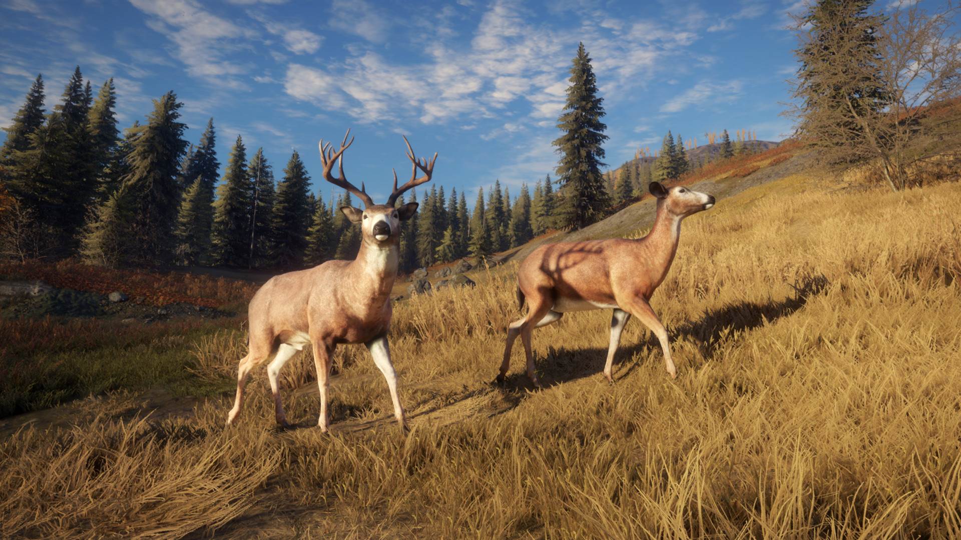  TheHunter (5).jpg - SmartLife / Steam 