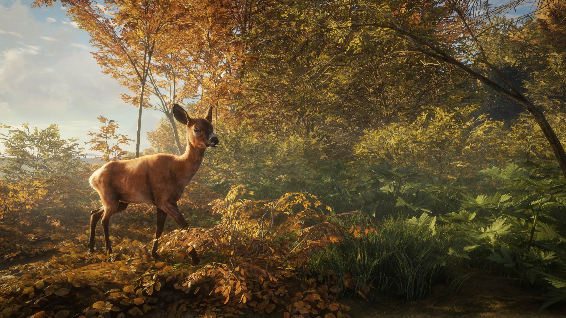  TheHunter (7).jpg - SmartLife / Steam 