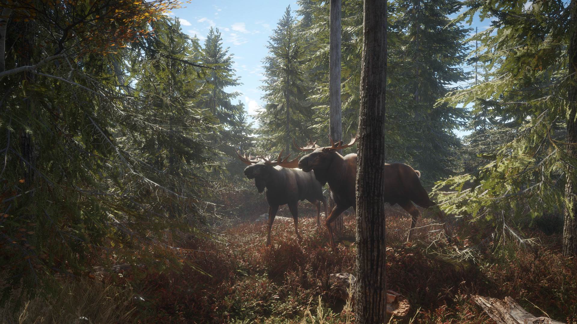  TheHunter (20).jpg - SmartLife / Steam 