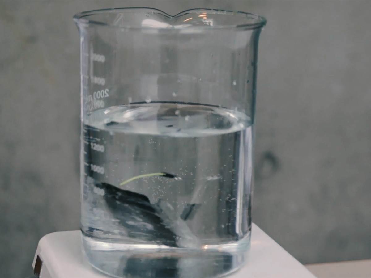  Baterija5.jpg - Smart Life/Mashable video 