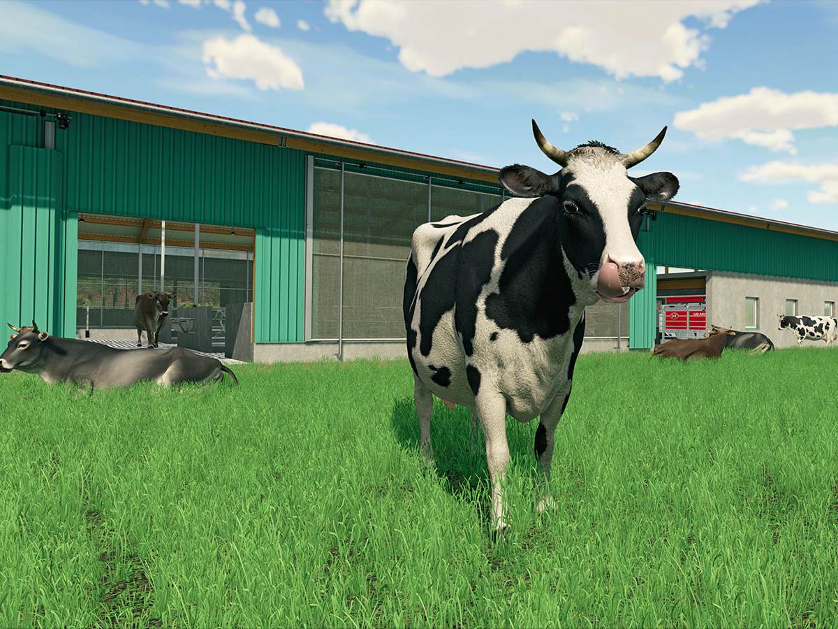 Farming.jpg   Farming.jpg