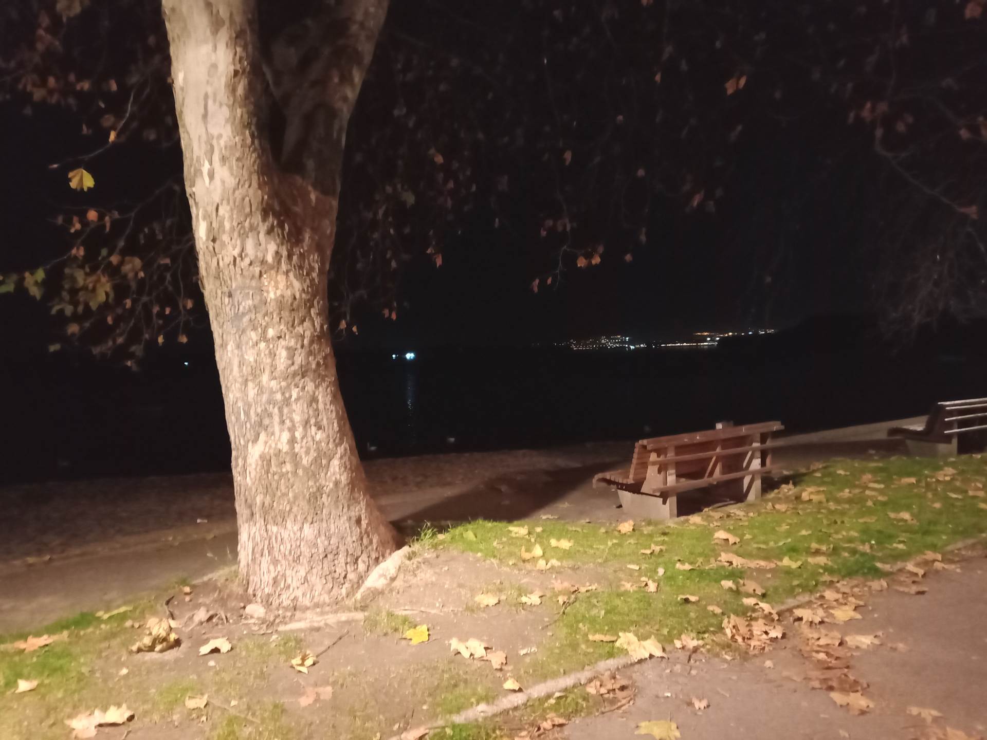  Wiko Power U20 park klupice - SmartLife / Marko Nešović 