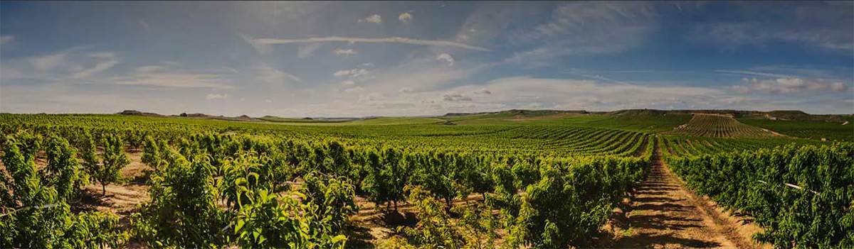  Autonomni traktor - Smart Life/ John Deere 