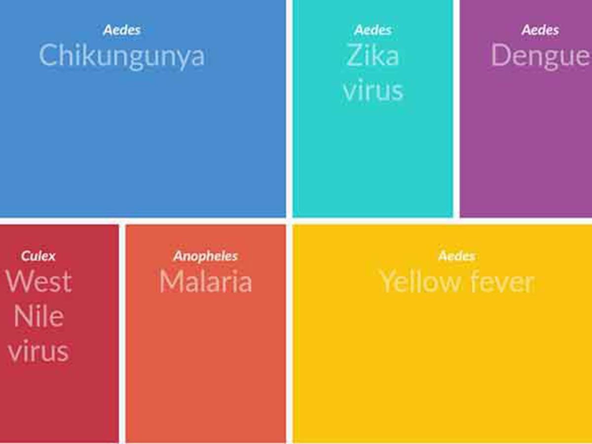  Bolesti koje prenose komarci - Smart Life/ Bzigo 