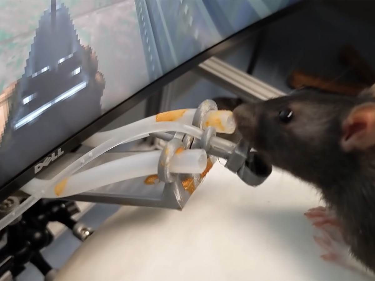  Pacov igra Doom - Smart Life/ @Viktor Toth 