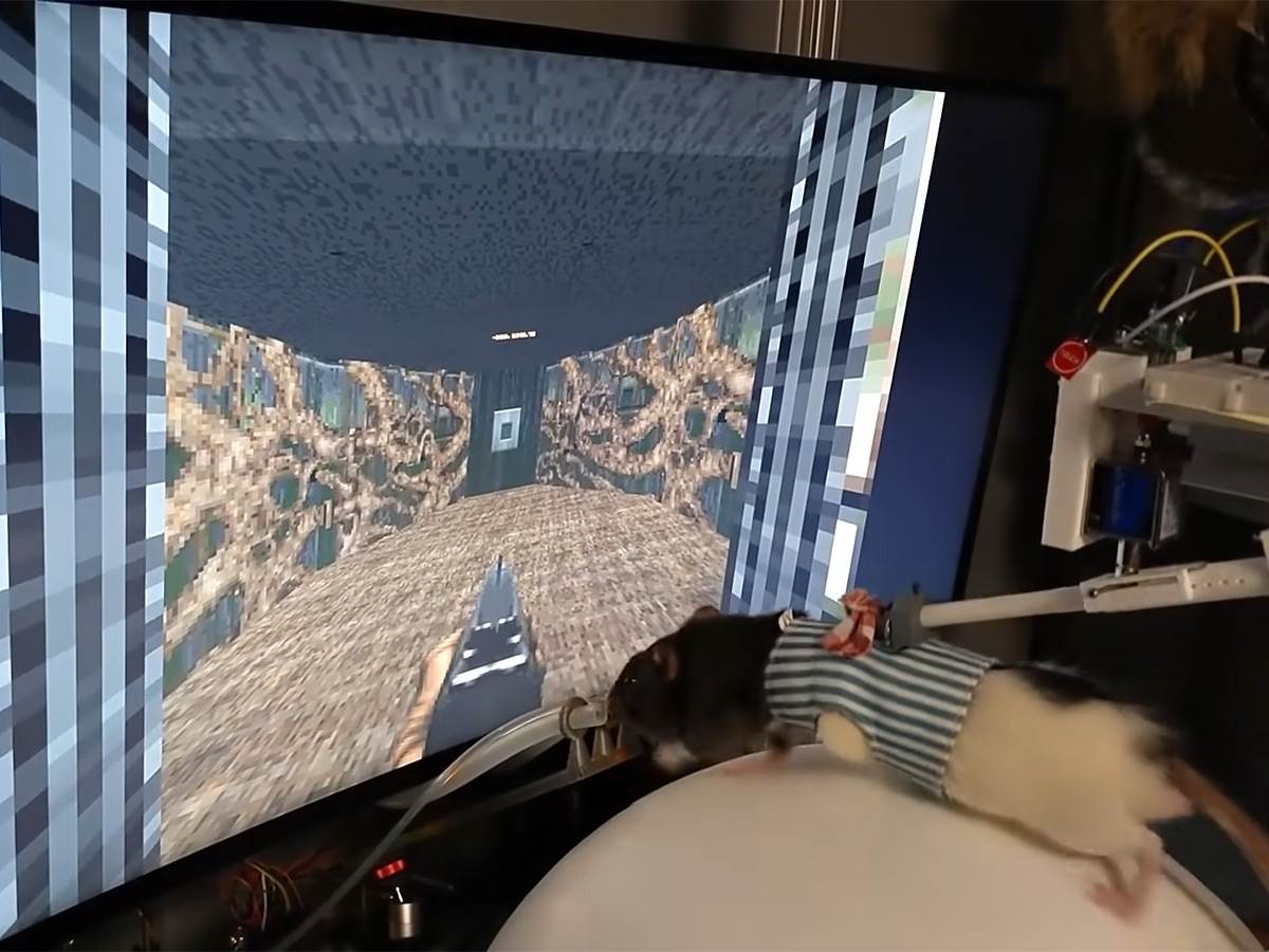  Pacov igra Doom - Smart Life/ @Viktor Toth 