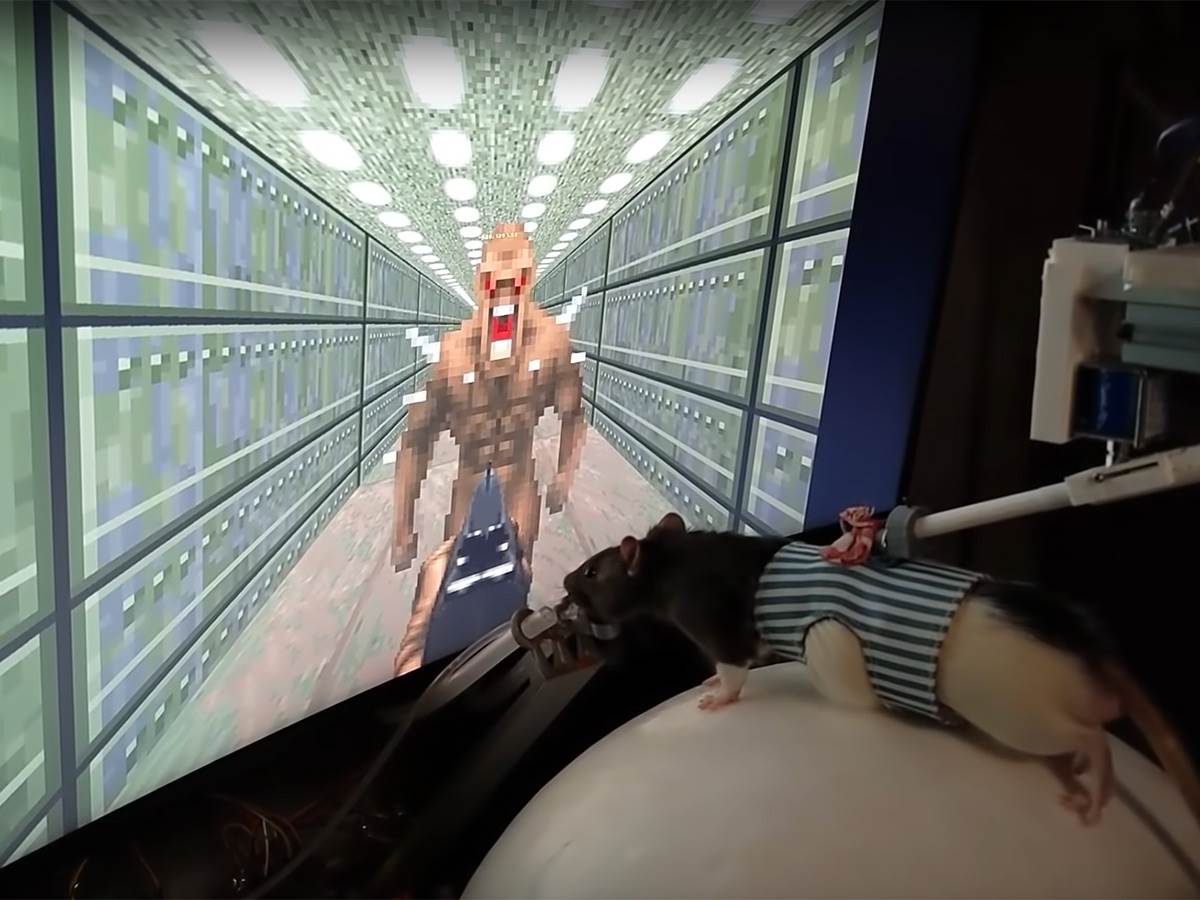  Pacov igra Doom - Smart Life/ @Viktor Toth 