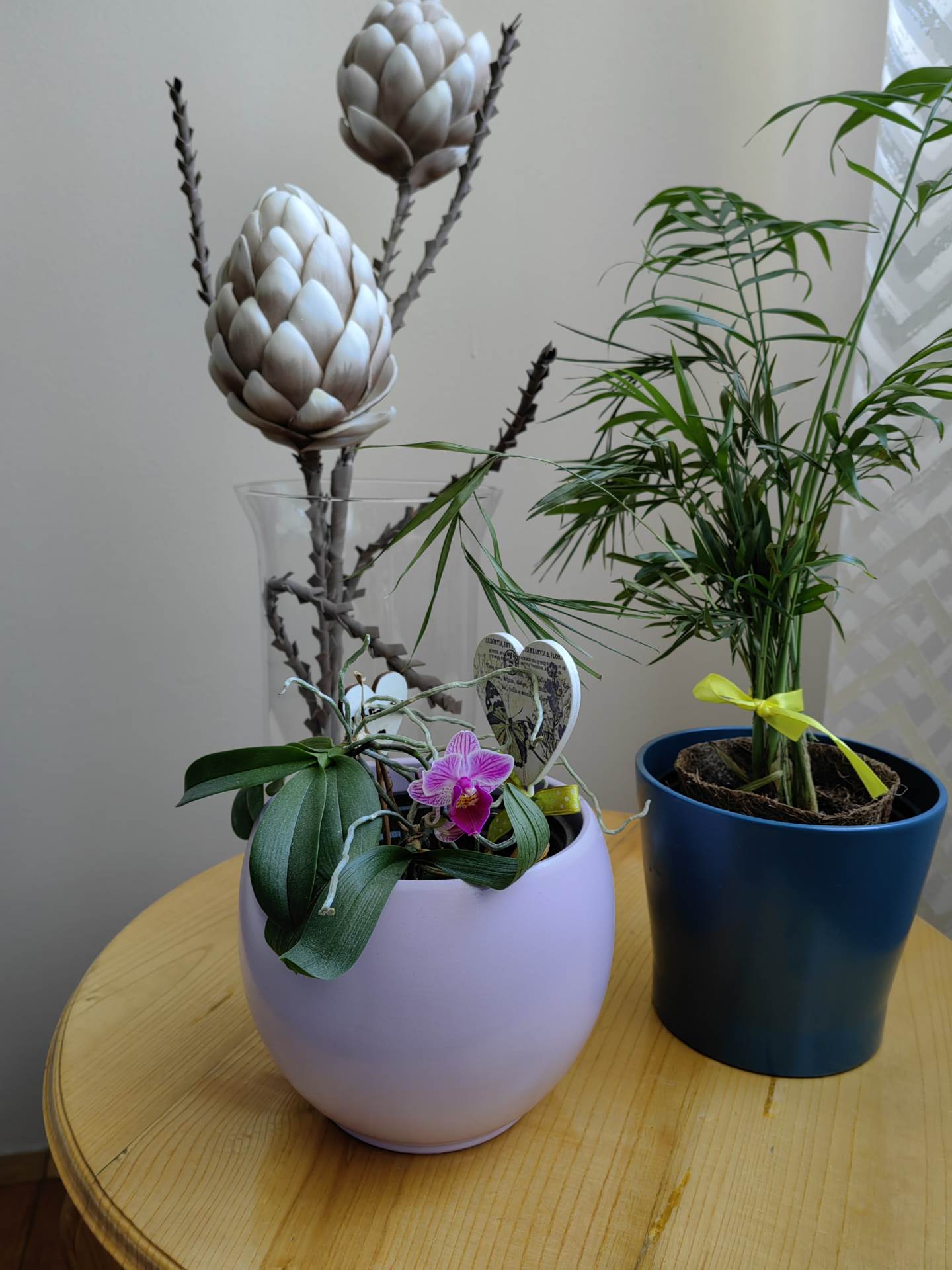  Huawei P50 Pro kamera test - SmartLife / Marko Čavić 