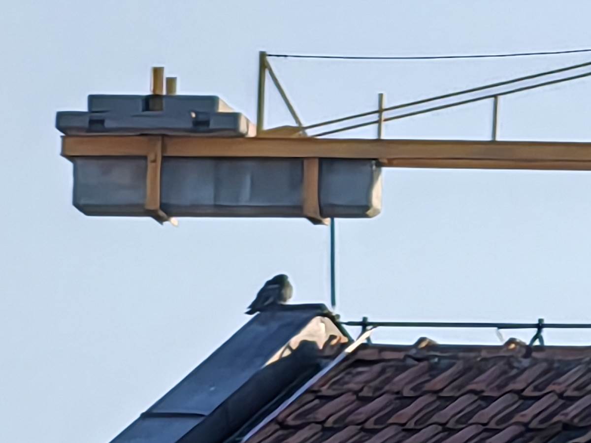  Huawei P50 Pro kamera (8-1).jpg - SmartLife / Marko Čavić 