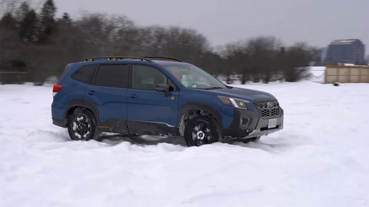 Subaru Forester Wilderness   Subaru Forester Wilderness