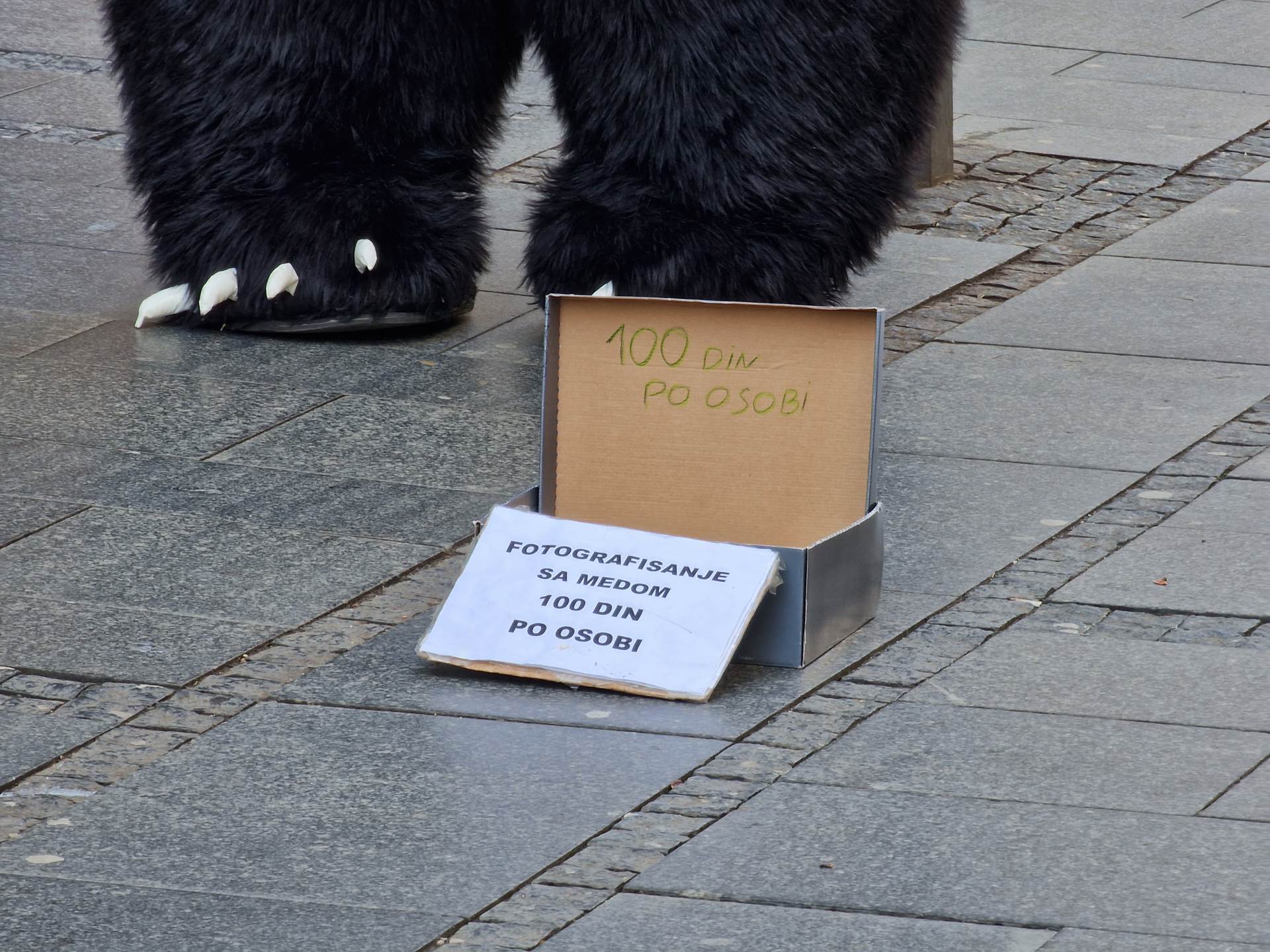  Samsung Galaxy S22 Ultra Kamera (13).jpg - SmartLife / Marko Čavić 