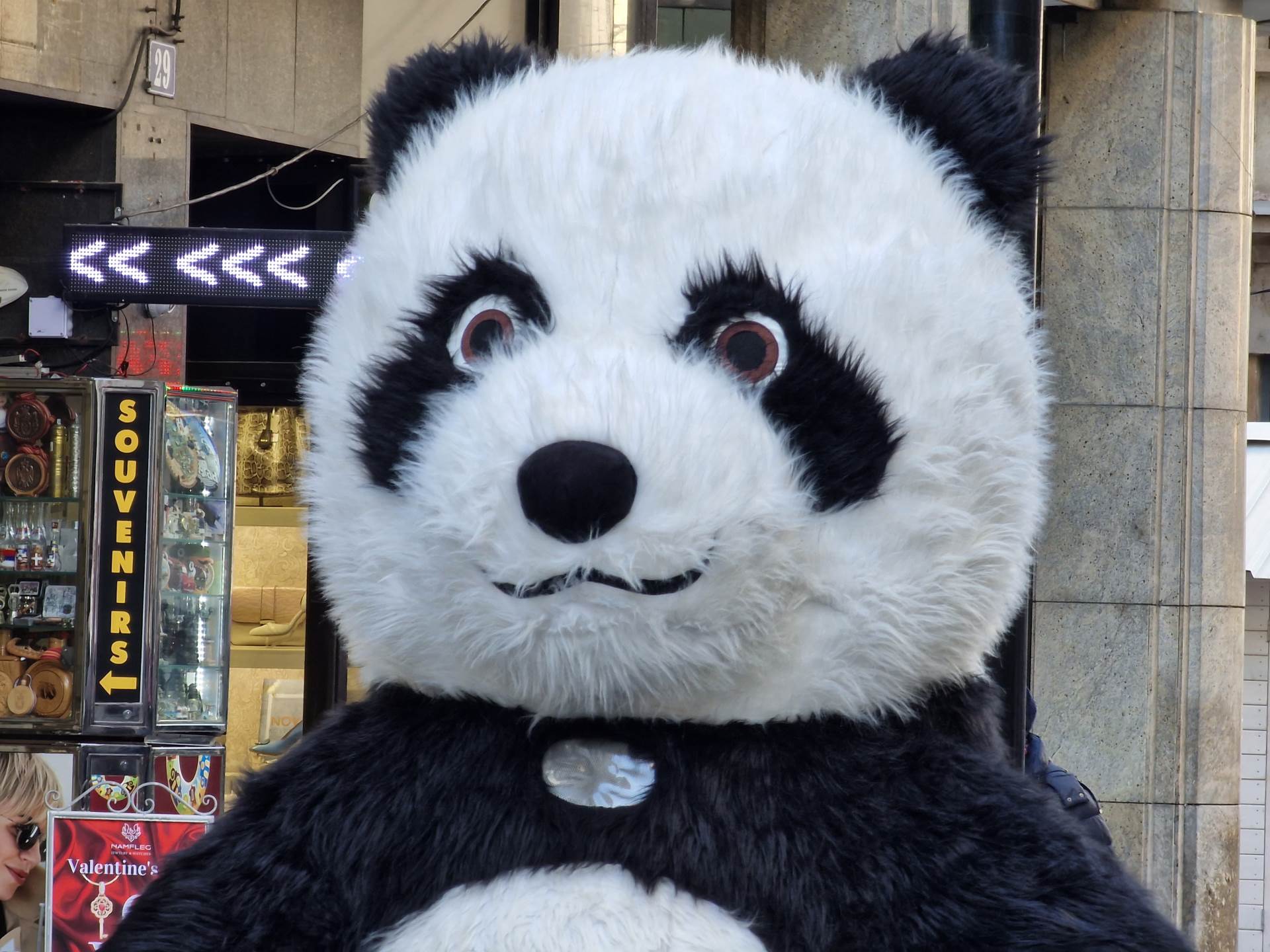  Samsung Galaxy S22 Ultra Kamera (14).jpg - SmartLife / Marko Čavić 