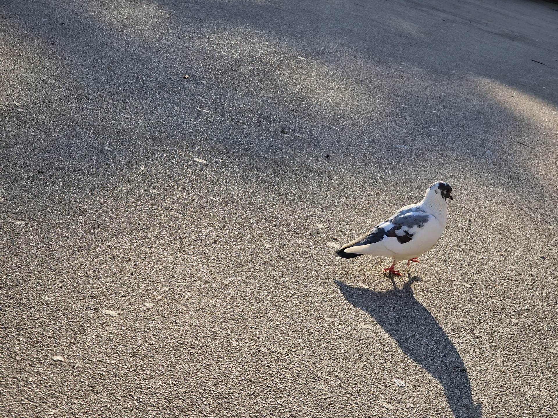  Samsung Galaxy S22 Ultra Kamera (22).jpg 