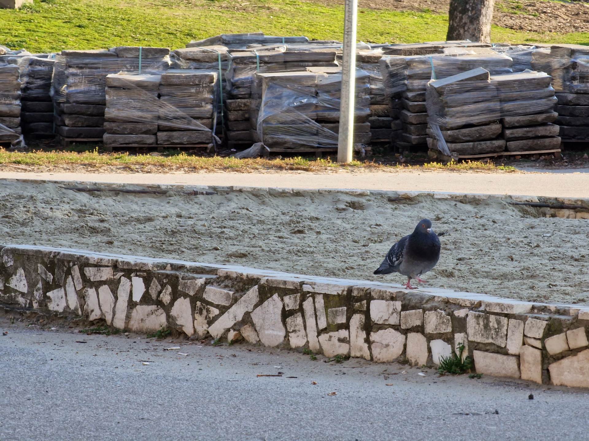  Samsung Galaxy S22 Ultra Kamera (23).jpg - SmartLife / Marko Čavić 