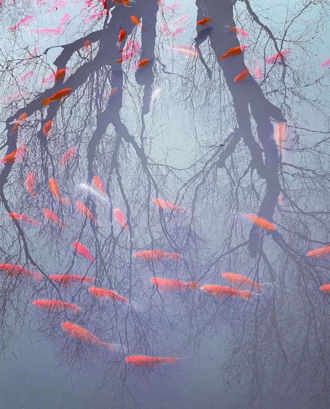  MPA_GrandPrize_Liu_KunKun5-646x800.jpg - SmartLife / mobilephotoawards.com, SmartLife / Liu KunKun 