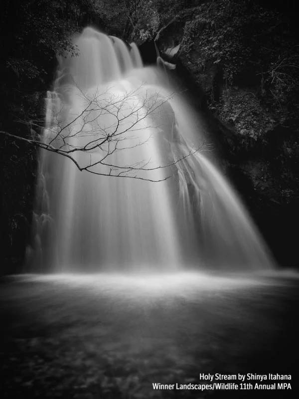  Shinya Ithana Holy Stream Landscapes Wildlife Sony Xperia Z5 - SmartLife / mobilephotoawards.com 