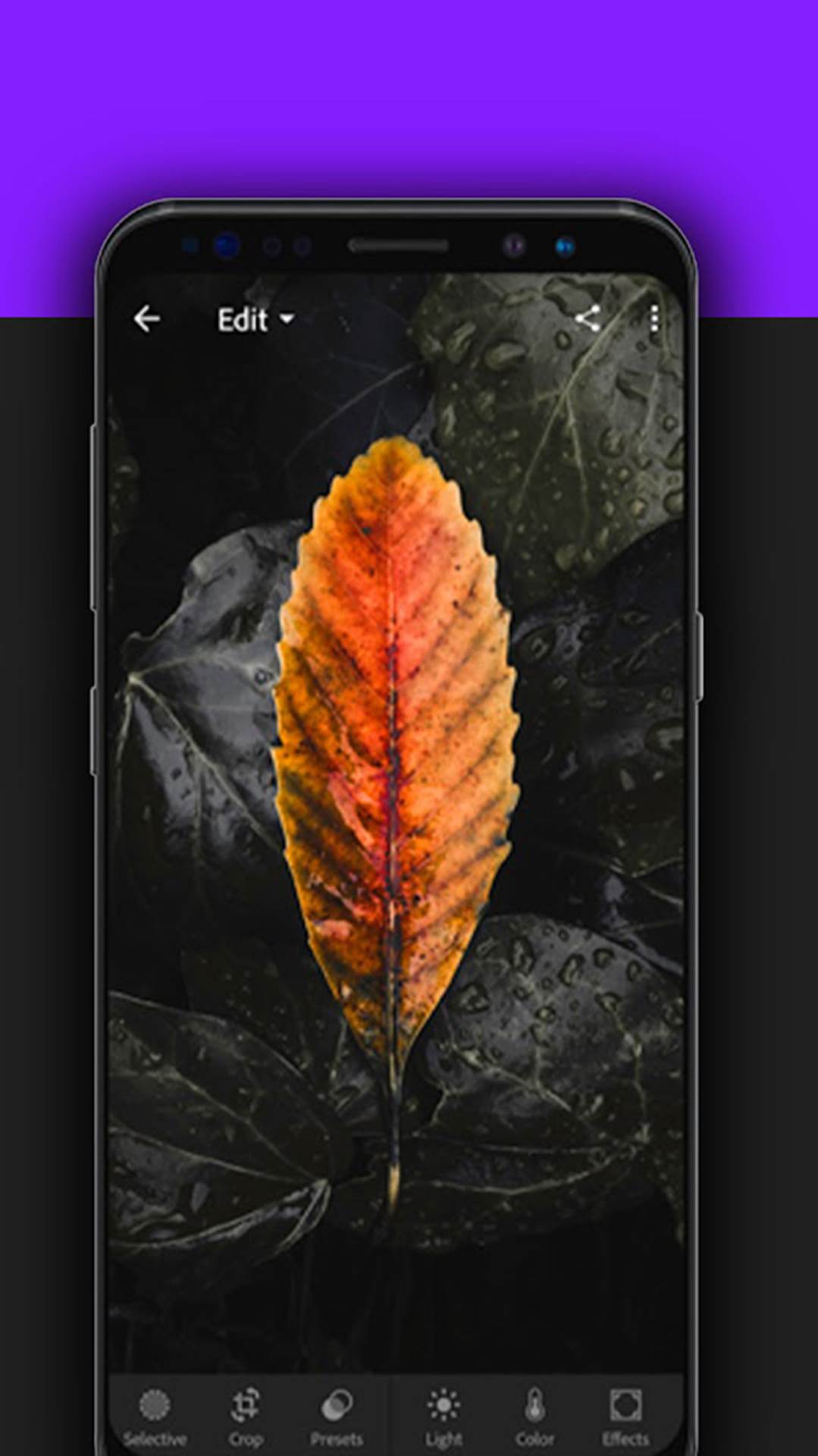  Advice Photo Power - Smart Life/ Google Play Store 