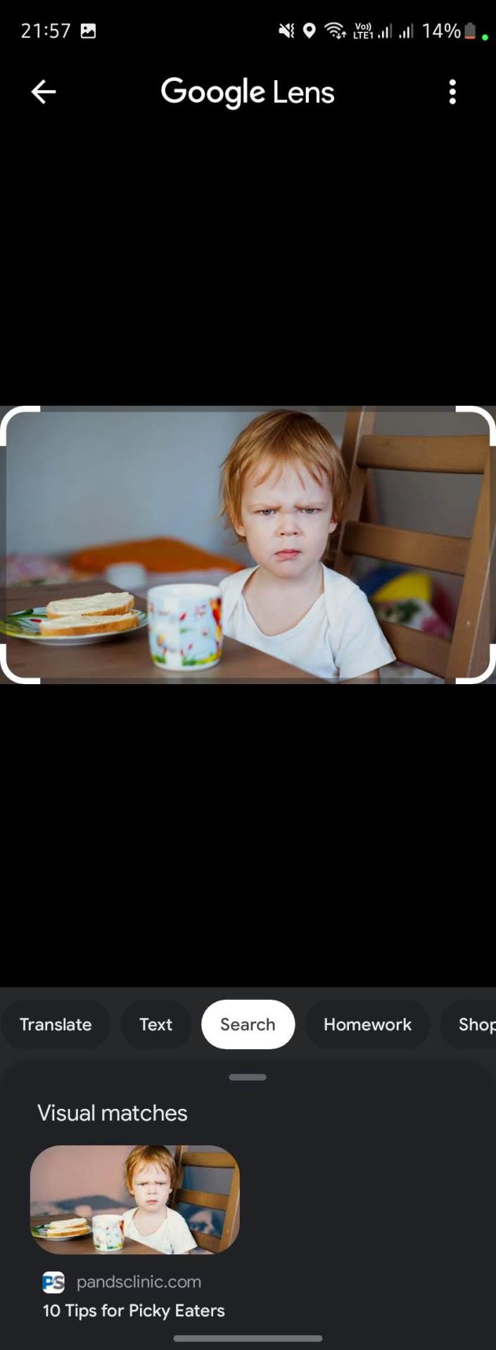  Google Lens u Chrome (12).jpg - Chrome/Screenshot 