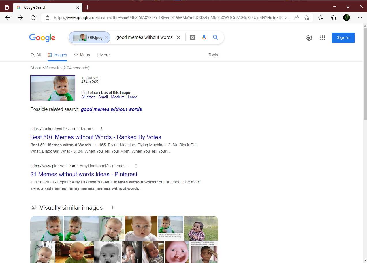Google image search Google image search