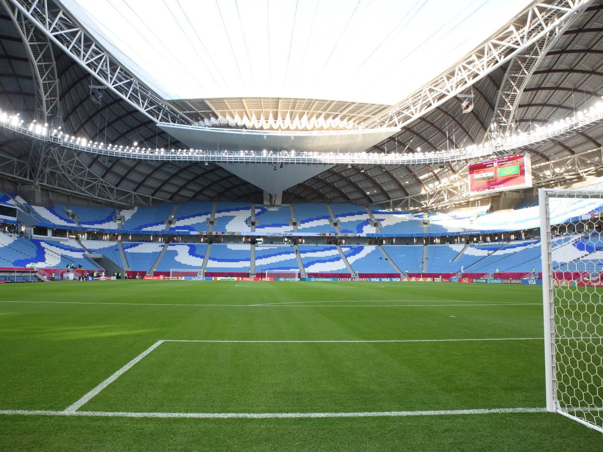  Al Janoub stadion - teren - Shutterstock/Colin McPhedran 