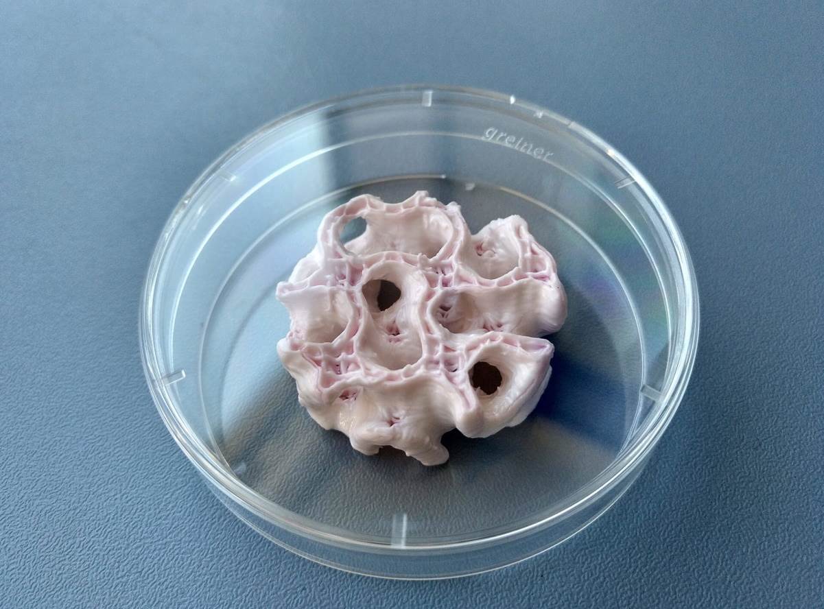  Veštačka kost u Petrijevoj šolji - ESA 