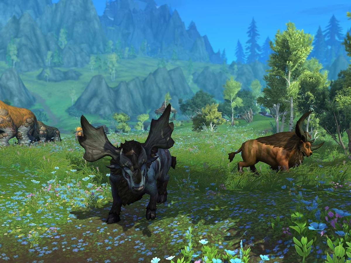  World of Warcraft Dragonflight 14.jpg 