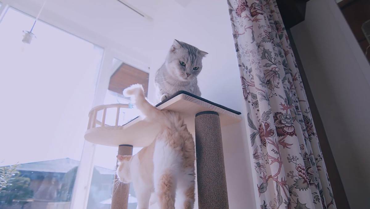  Samsung 200 MP bilbord 7.jpg - YouTube / Samsung / Screenshot 