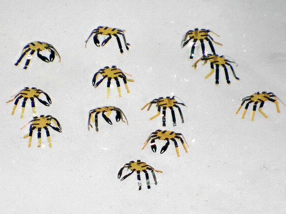  Fig. 1F.jpg - Northwestern University 