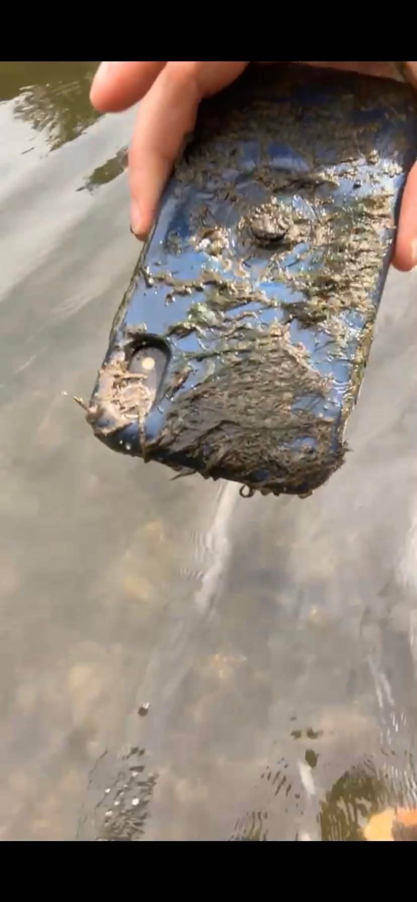 288493256_1174468509762789_1665135073544718656_n.jpg - Facebook / Miggy Ps   288493256_1174468509762789_1665135073544718656_n.jpg - Facebook / Miggy Ps