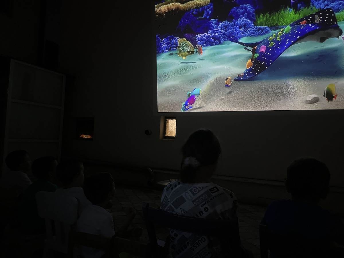  IMG_1975.JPG - Smartlife 