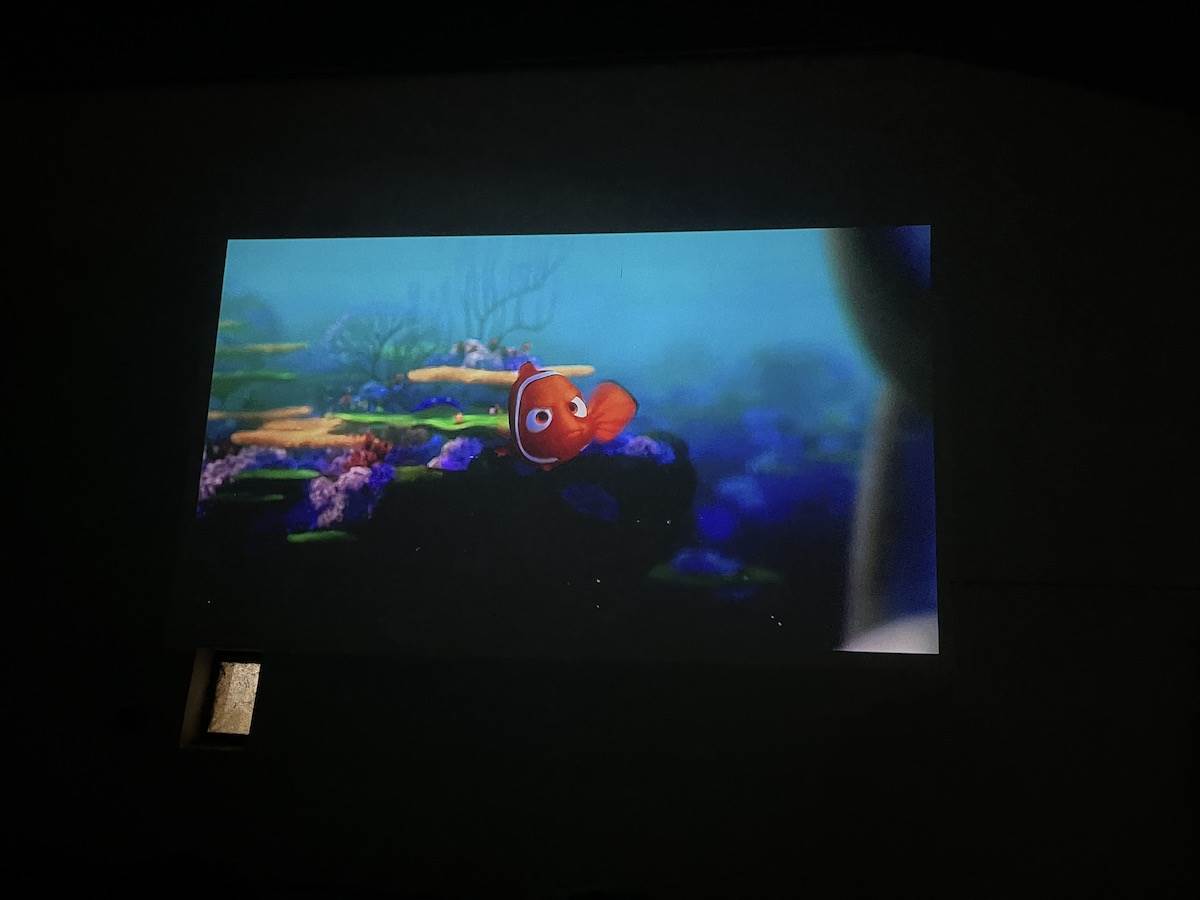  IMG_1977.JPG - Smartlife 