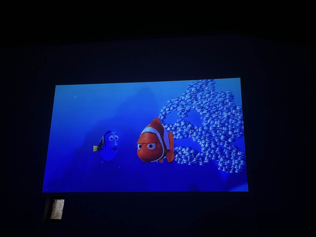  IMG_1982.JPG - Smartlife 