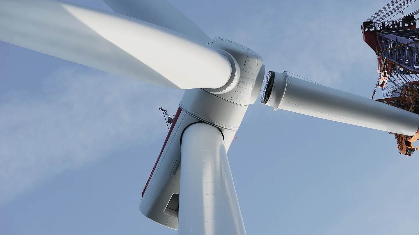 Wings_closeup6.jpeg - Hornsea Project   Wings_closeup6.jpeg - Hornsea Project