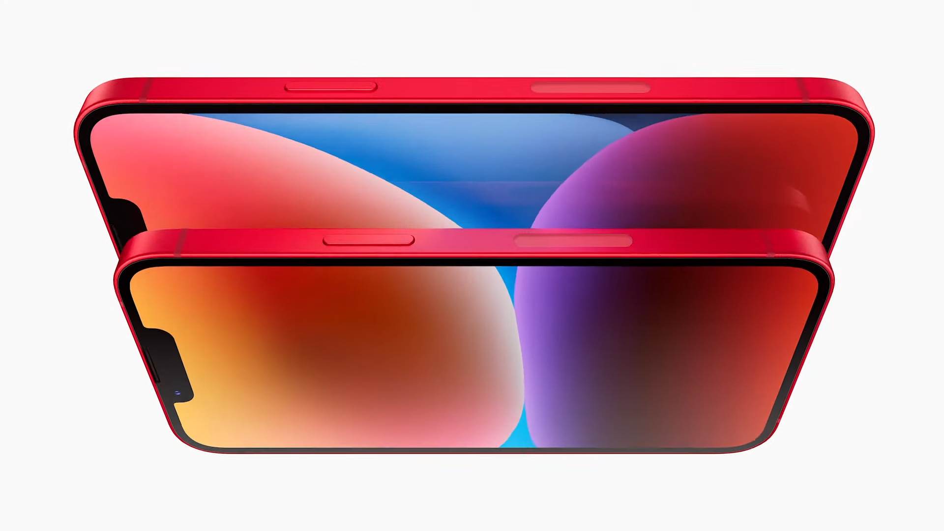 - Apple    - Apple