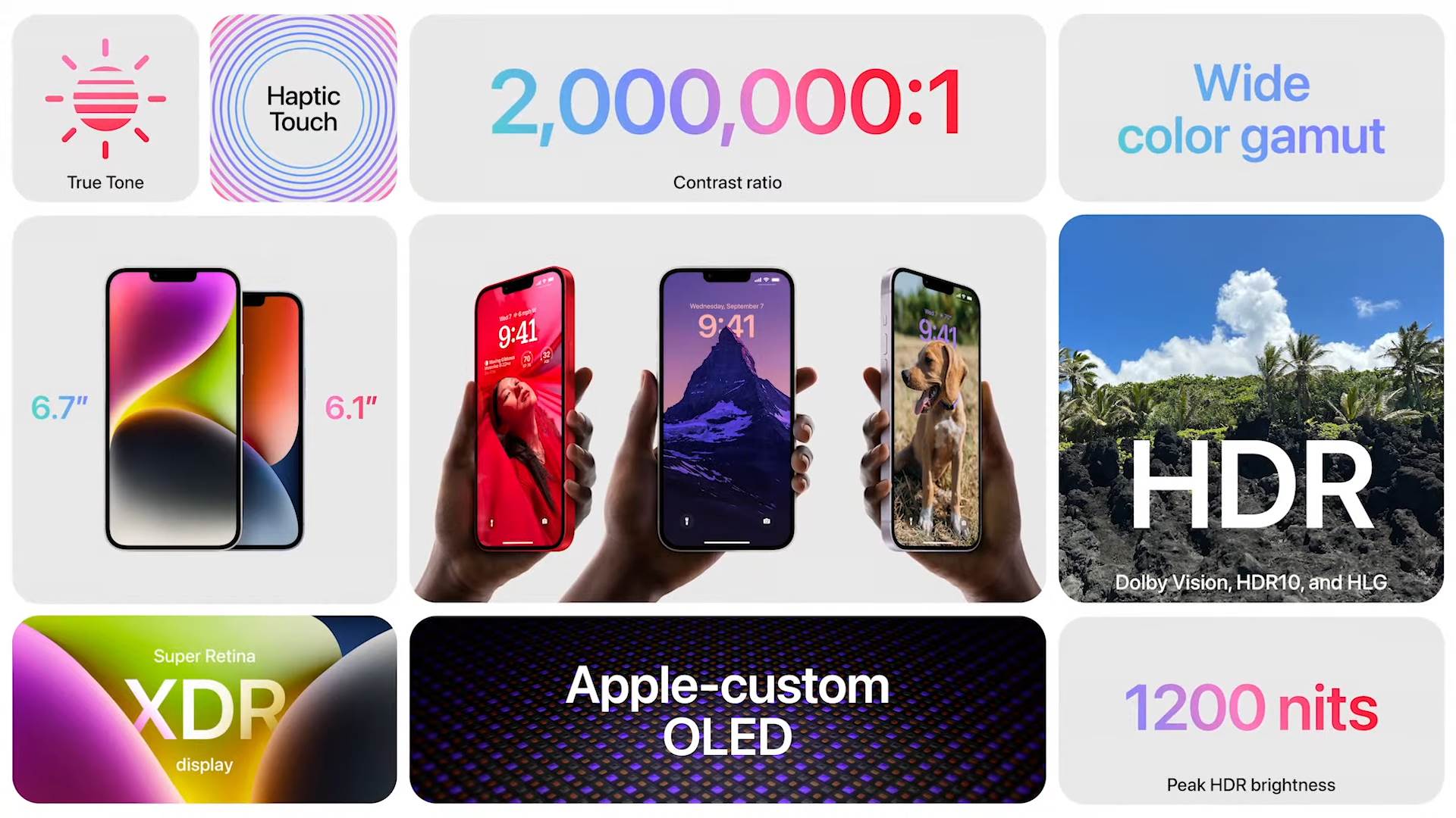 - Apple    - Apple