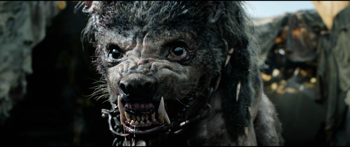  Screenshot 2022-09-12 at 13.52.30.png - Amazon 