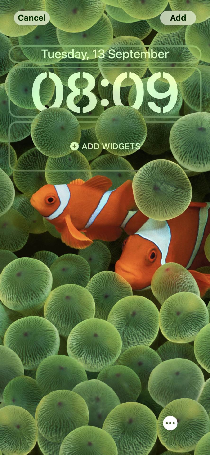 IMG_2648.jpg - Smartlife   IMG_2648.jpg - Smartlife