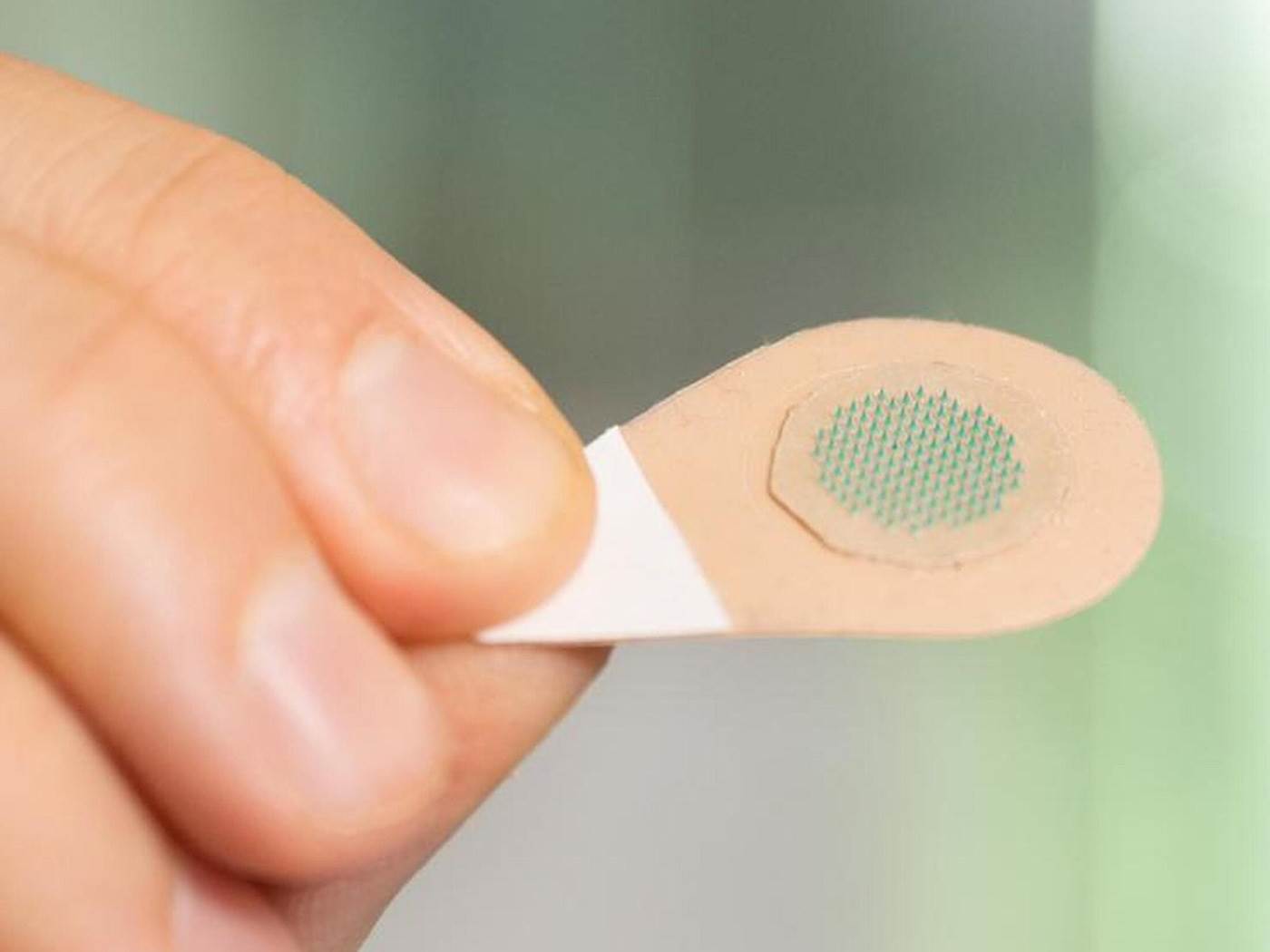  2c753a56e79da54f4e1afa0e7ee3ff616ec5d857.jpg - Georgia Tech / SWNS 