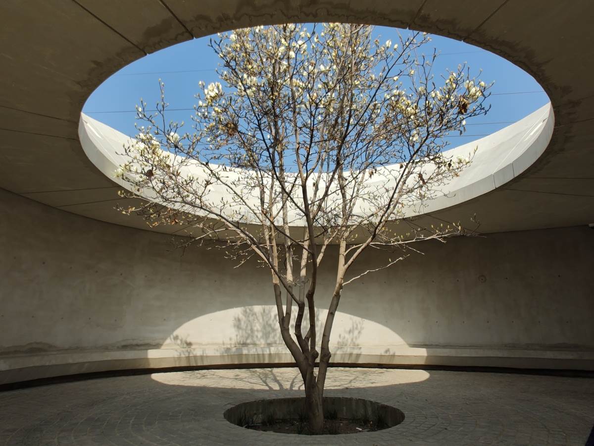  Motorola Edge 30 Ultra Slike Kamere (16).jpg - Motorola 