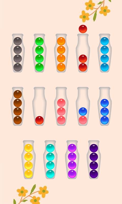  Ball Sort Puzzle (6).jpg - IEC Global PTY LTD 