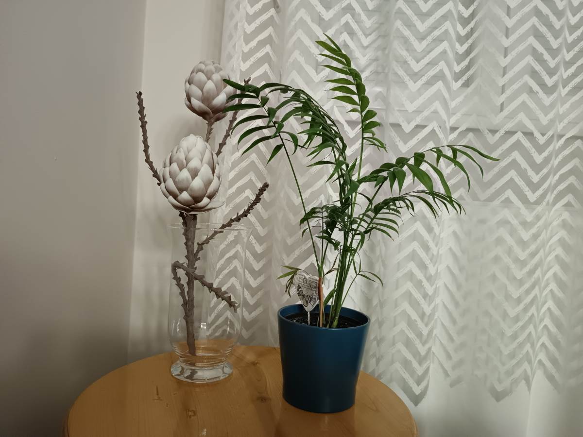  vivo X80 Lite Kamera Slike 1:1 i full rezolucija - SmartLife / Marko Čavić 