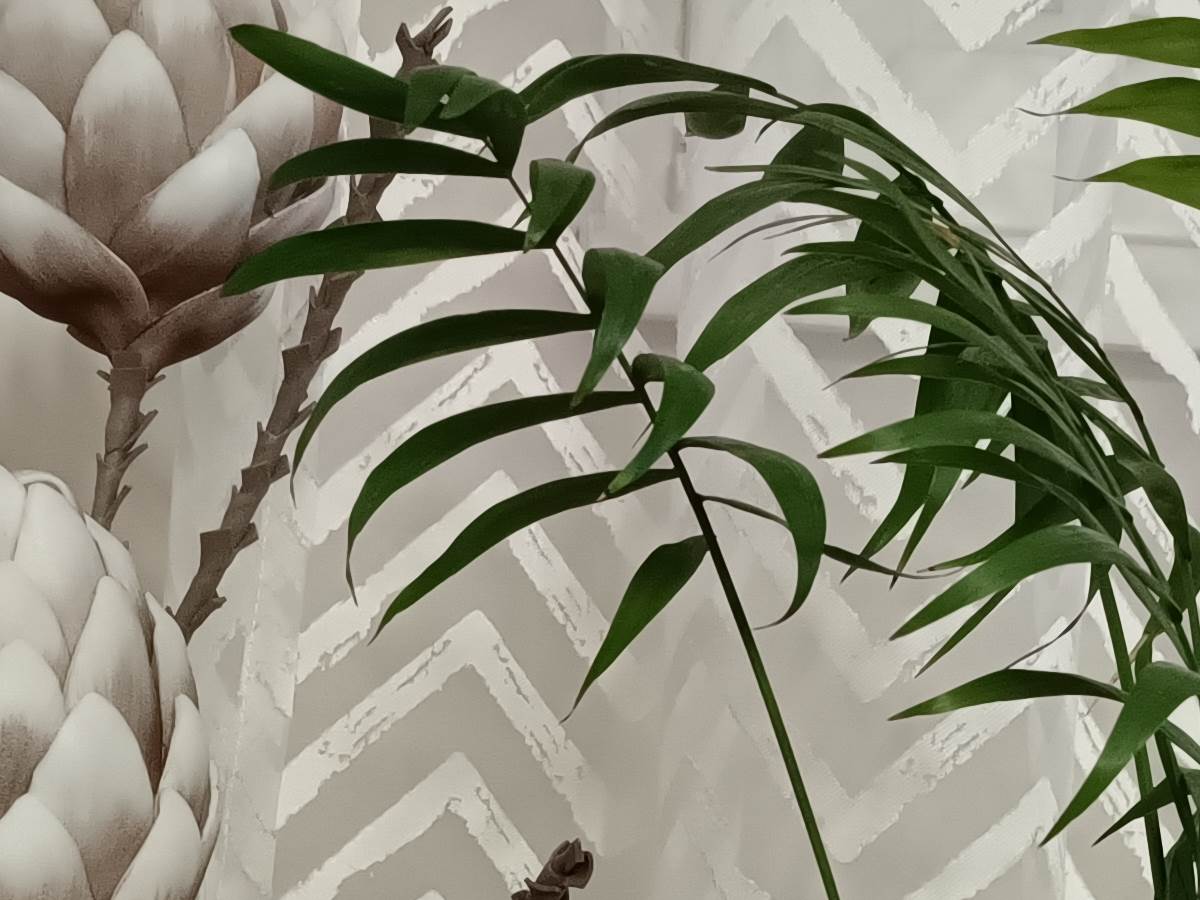  vivo X80 Lite Kamera Slike (2-1).jpg - SmartLife / Marko Čavić 