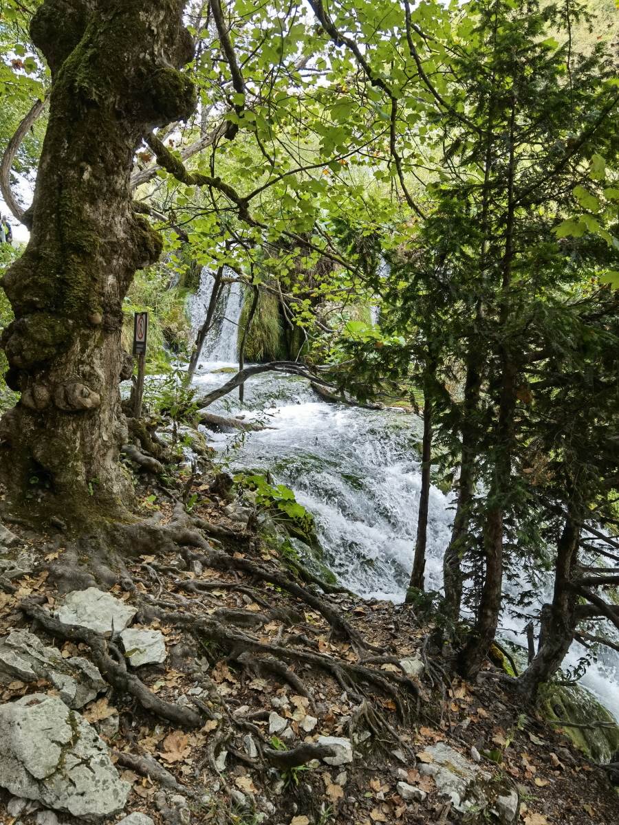  ASUS Intel Performance Day Plitvička jezera Hrvatska (14).jpg 