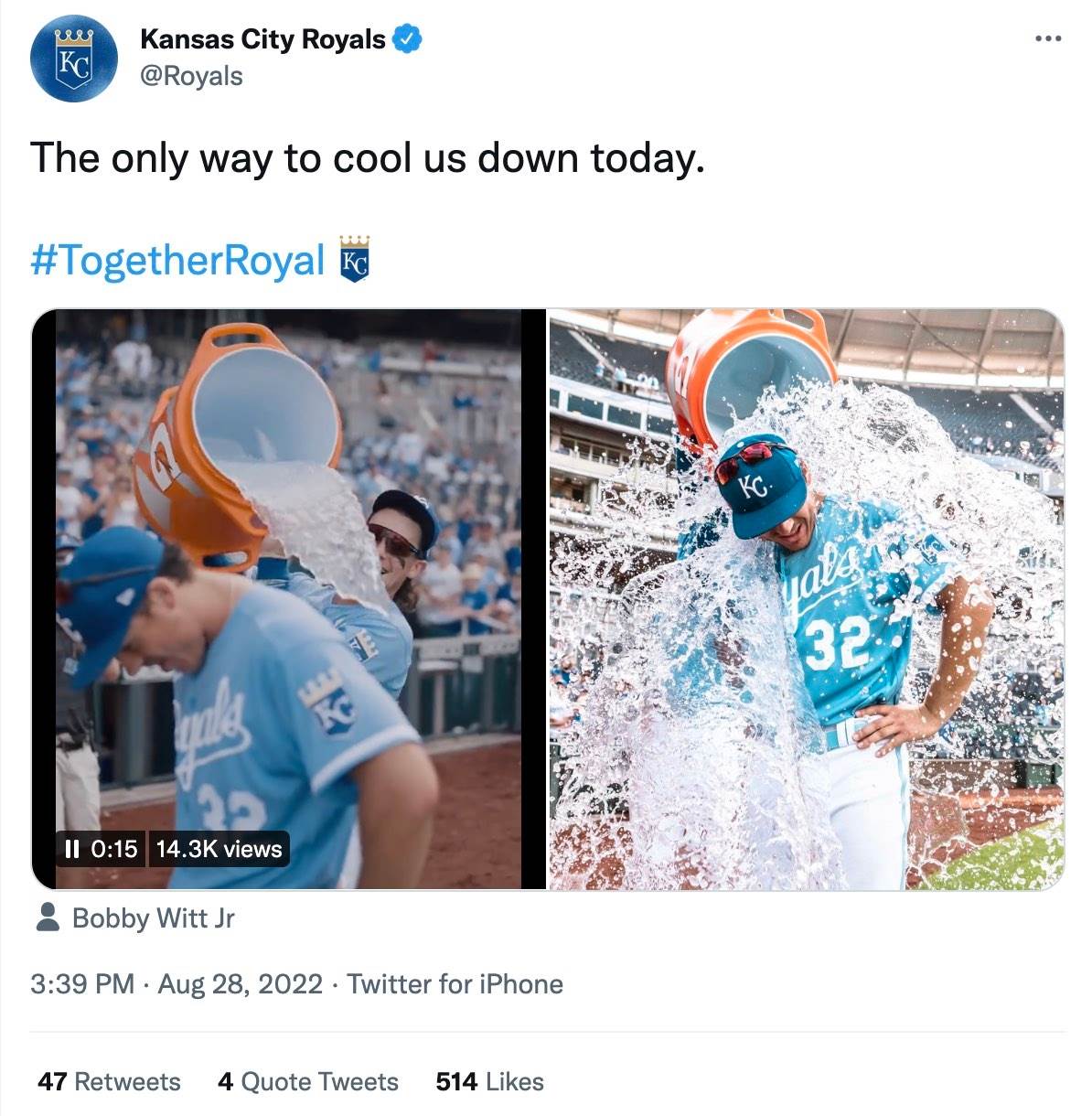  introducing-mixed-media-videos-images-gifs-together-one-tweet-2.jpg.img.fullhd.medium.jpg - Twitter 