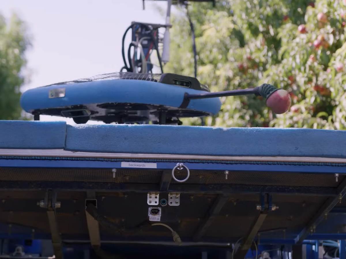  The Future of Harvesting_ Fruit-Picking Flying Autonomous Robots™ by Tevel _ HMC Farms Testimonial 1-17 screenshot.png 